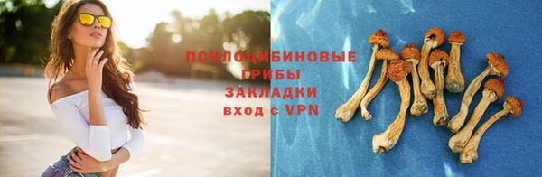 ПСИЛОЦИБИНОВЫЕ ГРИБЫ Абдулино