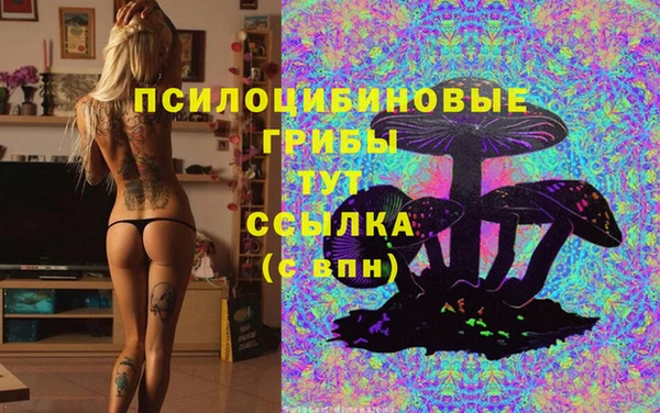 кокаин Алексеевка