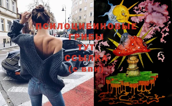 кокс Алзамай