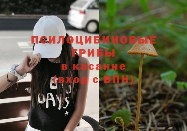 стафф Алексин