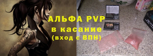 стафф Алексин