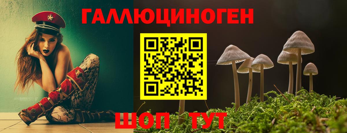 Псилоцибиновые грибы GOLDEN TEACHER  Галлюциногенные грибы мицелий  Вход с VPN  Прохладный 